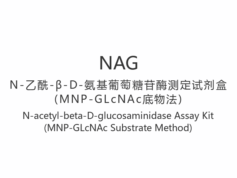 【NAG】 مجموعة مقايسة N-acetyl-beta-D-glucosaminidase (طريقة الركيزة MNP-GLcNAc)
